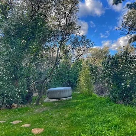 Essencia, Dans Les Collines De * Τουλόν